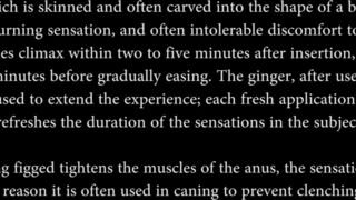 Sensual Lesbian Anal Ginger Figging Massage, burning anal pain with ice cold cubes - 2 image