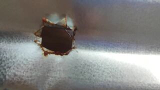 Caught through a closet hole outdoors